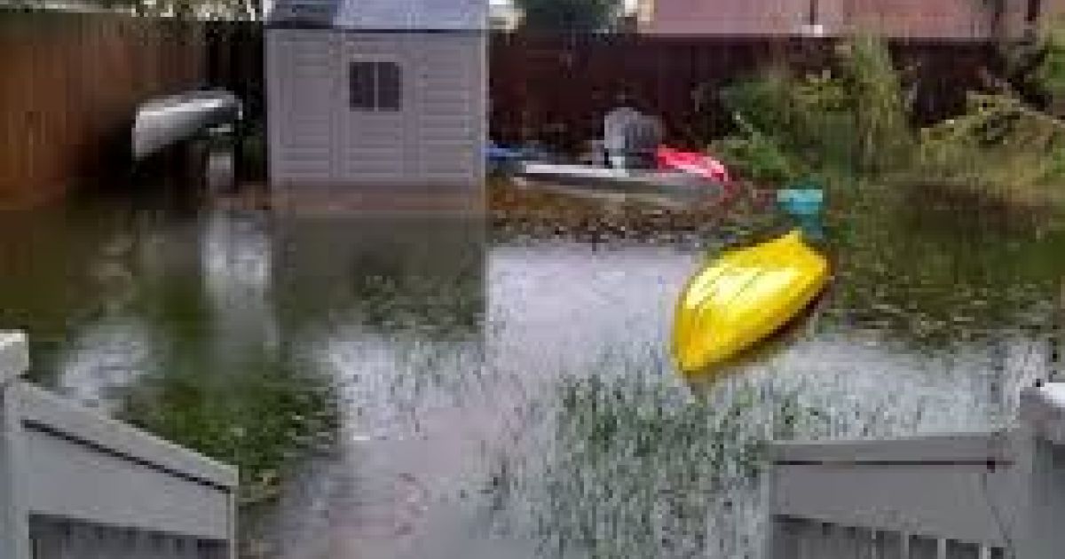 Flooded Yard? Causes and Solutions From A Plumber