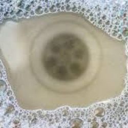 The Science of Clogs: What’s Really Hiding in Your Drains