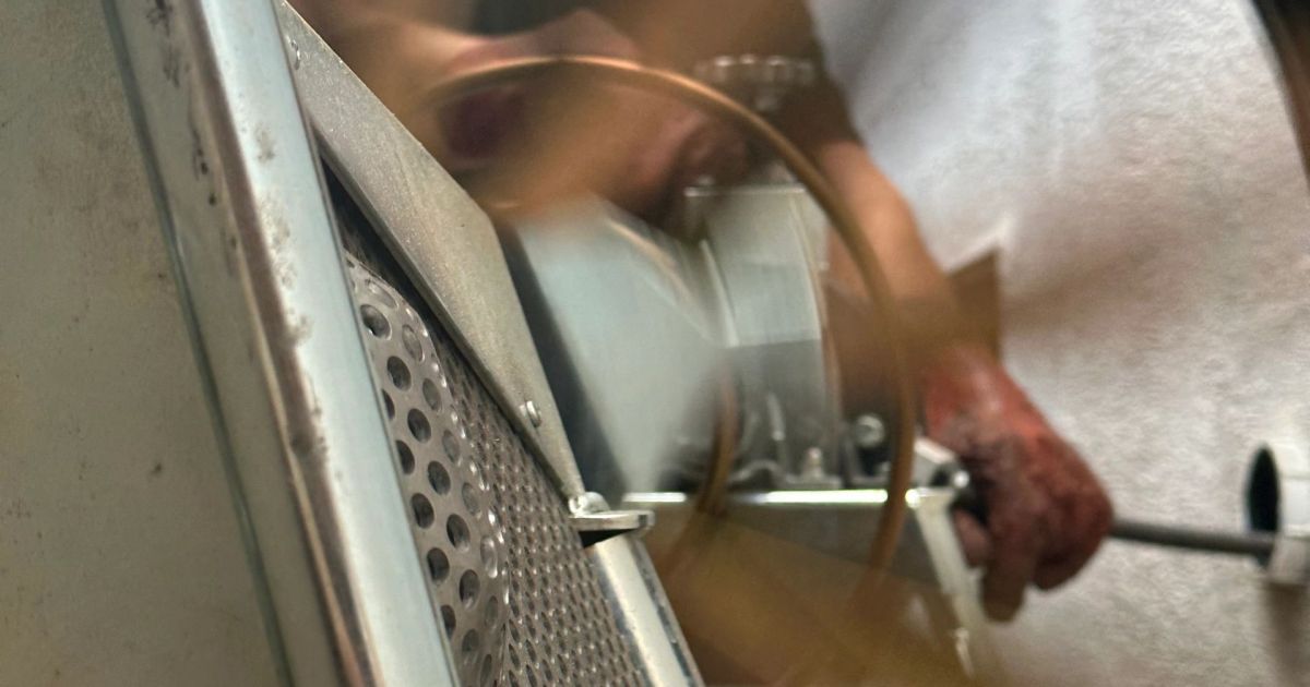 Expert Drain Cleaning Services in LA: Same-Day Solutions